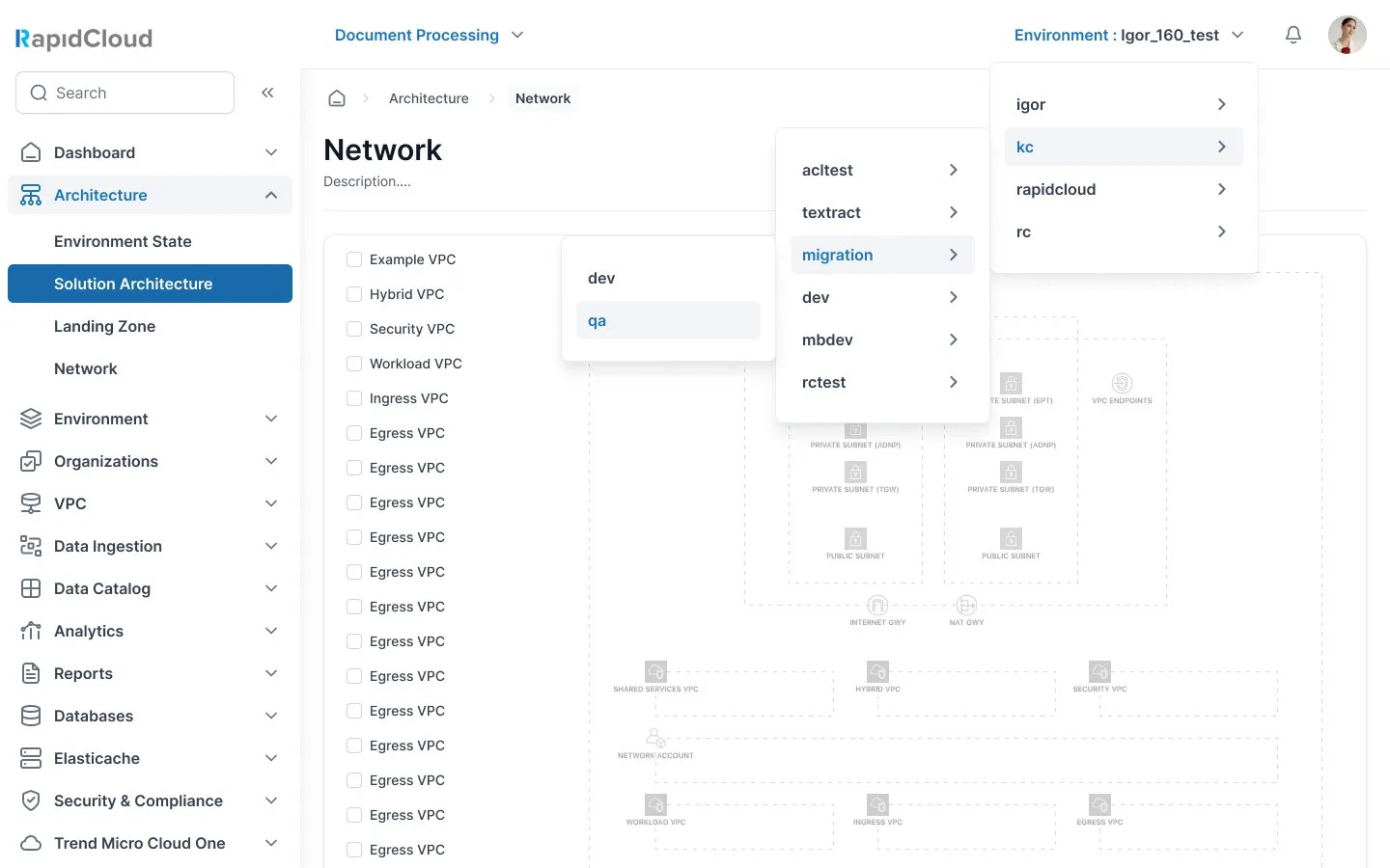 RapidCloud console — Architecture & network